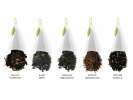 Coffret thé noir Tea Forte 10 pyramides Assortiment