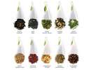 Coffret thé Tea Forte 20 pyramides Assortiment