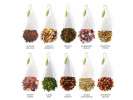 Coffret infusion Tea Forte 40 pyramides Herbal Retreat