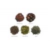 Coffret thé Assortiment Tea Forte 15 pyramides World of Teas