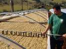 Café Brésil Fazenda Ambiental - Terroir Mococa - Bob O Link