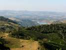 Café Brésil Fazenda Ambiental - Terroir Mococa - Bob O Link